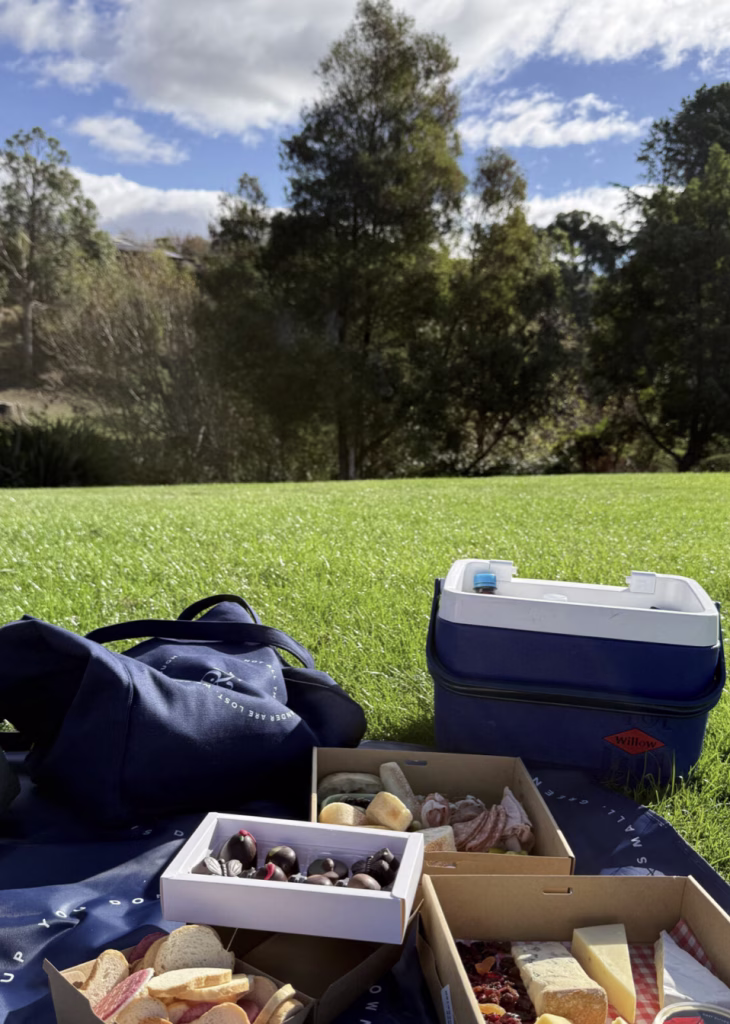 A picnic spread with chocolates, cheeses, charcuterie, and bread slices. A tote bag and cooler stand behind the food on a manicured lawn with trees and a blue sky background.